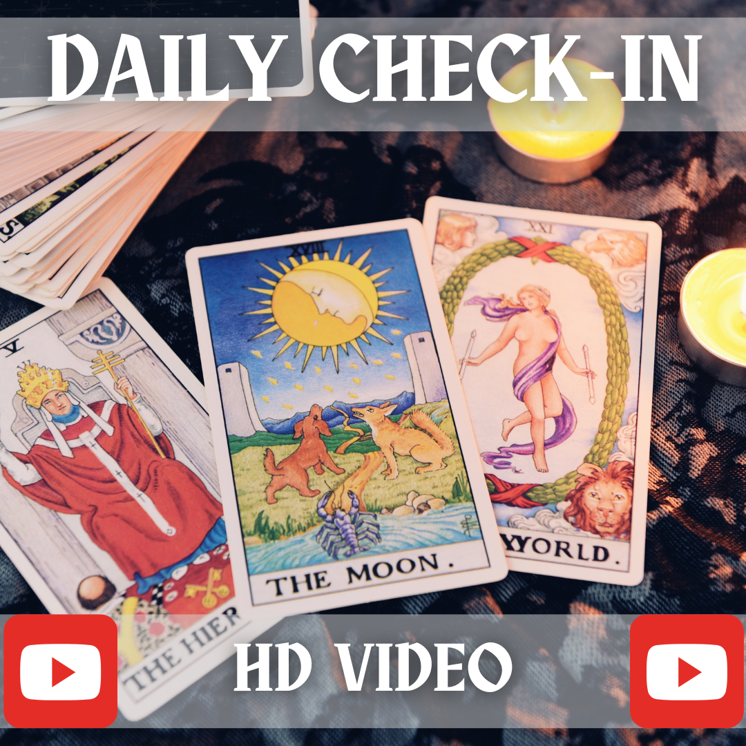 Daily Check-In HD Video Tarot Reading